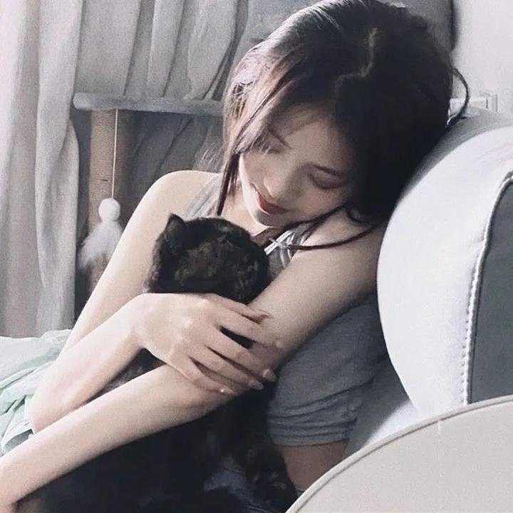 霸王大系龙骑士