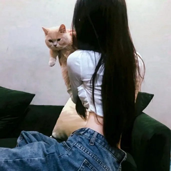 谍报飞龙